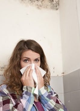 Fjern skimmel og mug med ozonbehandlinger