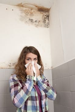 Fjern skimmel og mug med ozonbehandlinger